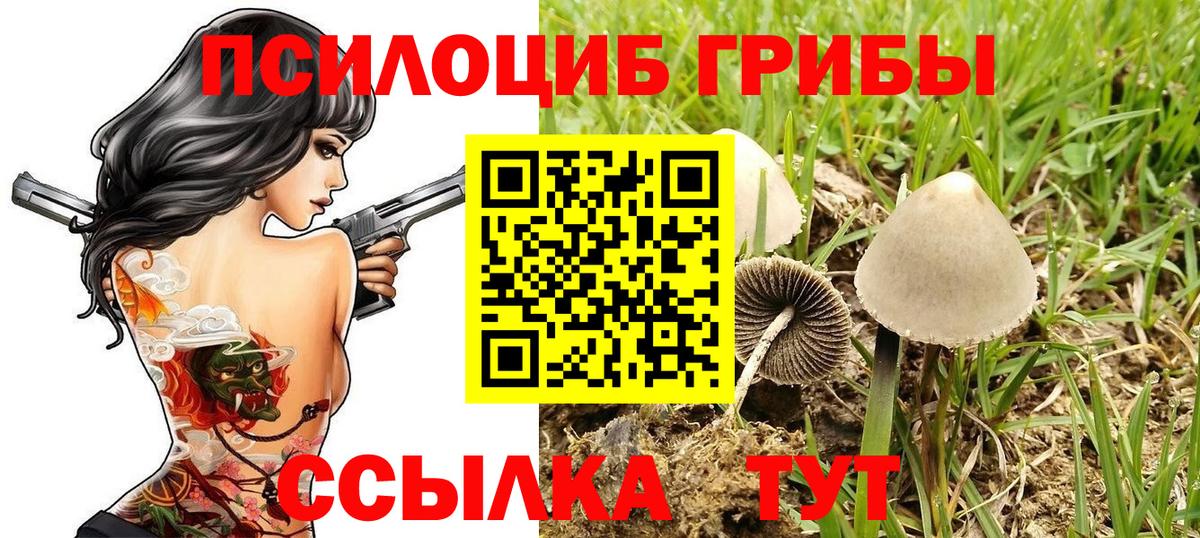 Галлюциногенные грибы мицелий Добрянка