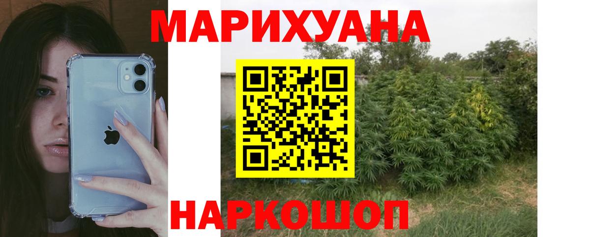МАРИХУАНА сатива Добрянка